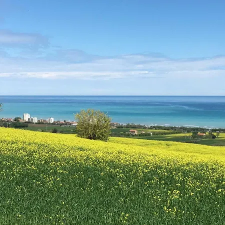 Mansarda Seaview Πανσιόν Σενιγκάλια